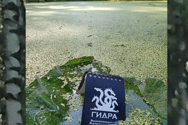 Kraken даркнет маркет