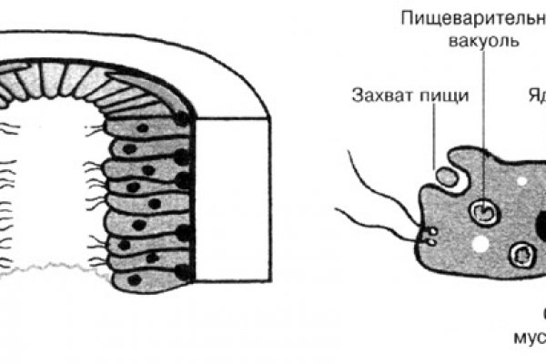Кракен сайт 2krnk