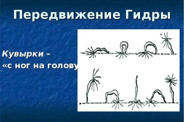Кракен открылся