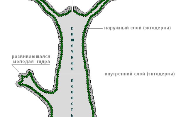 Реальная ссылка кракен